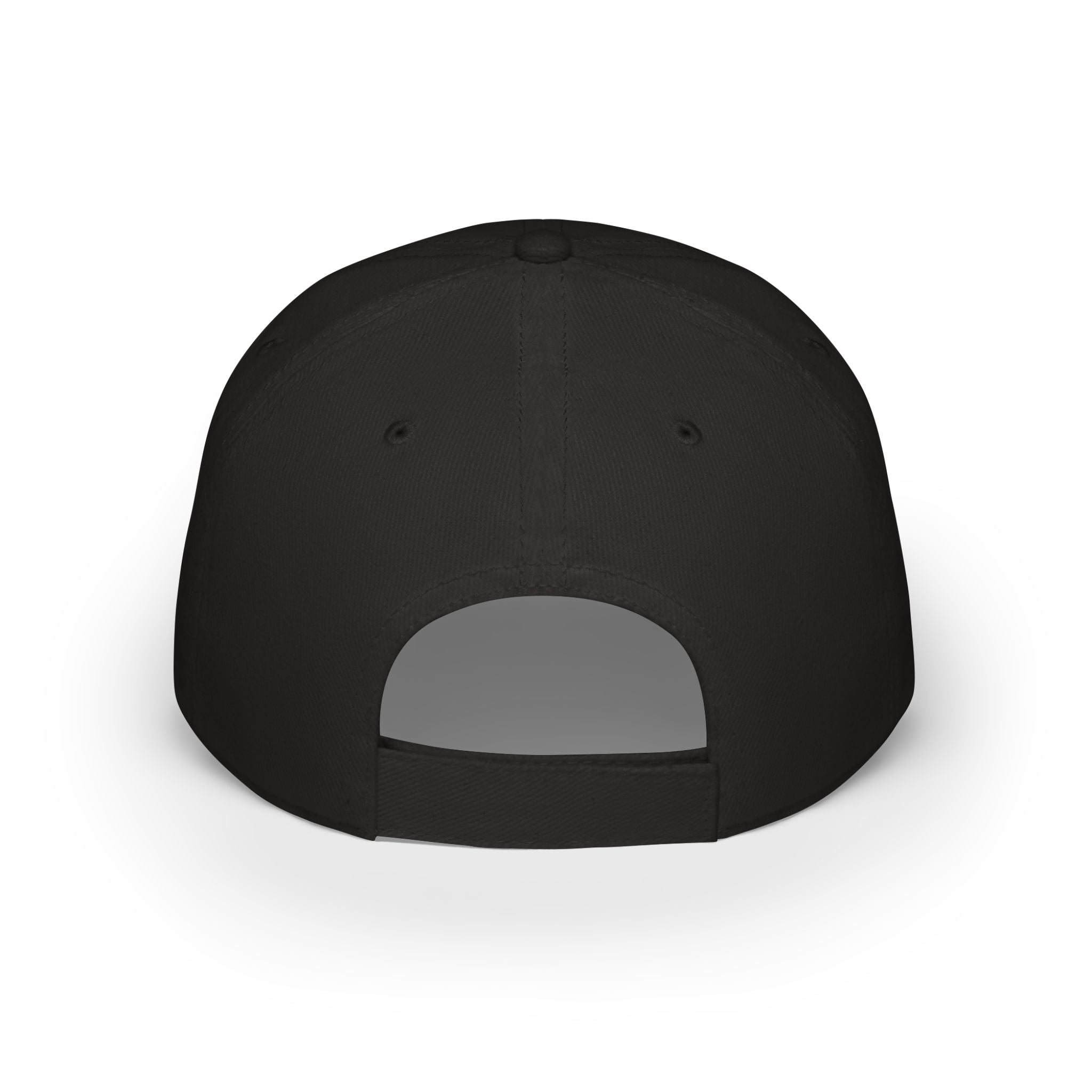Low Profile Baseball Cap — 56 Seats Zero Fear Graphic Hat