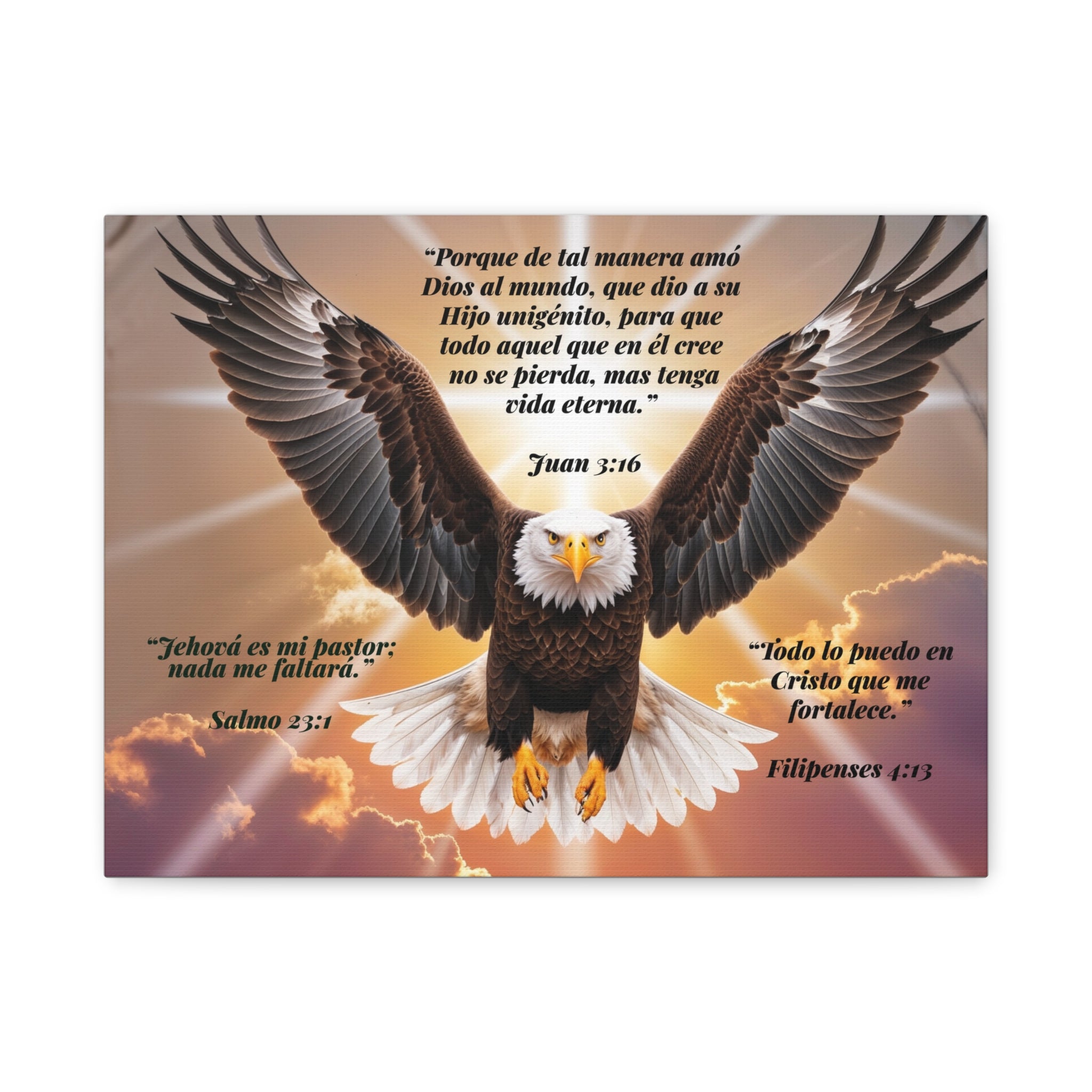 Bald Eagle with Spanish Bible Verses Canvas