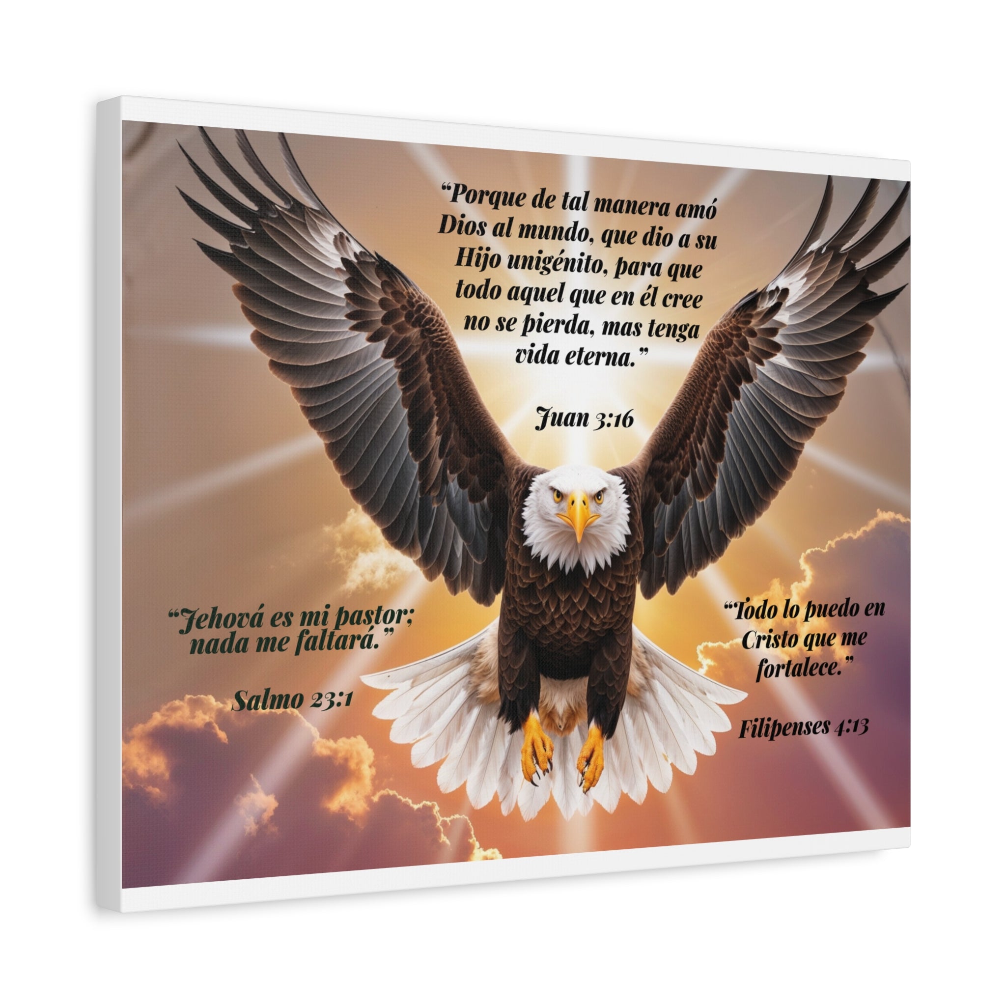 Bald Eagle with Spanish Bible Verses Canvas
