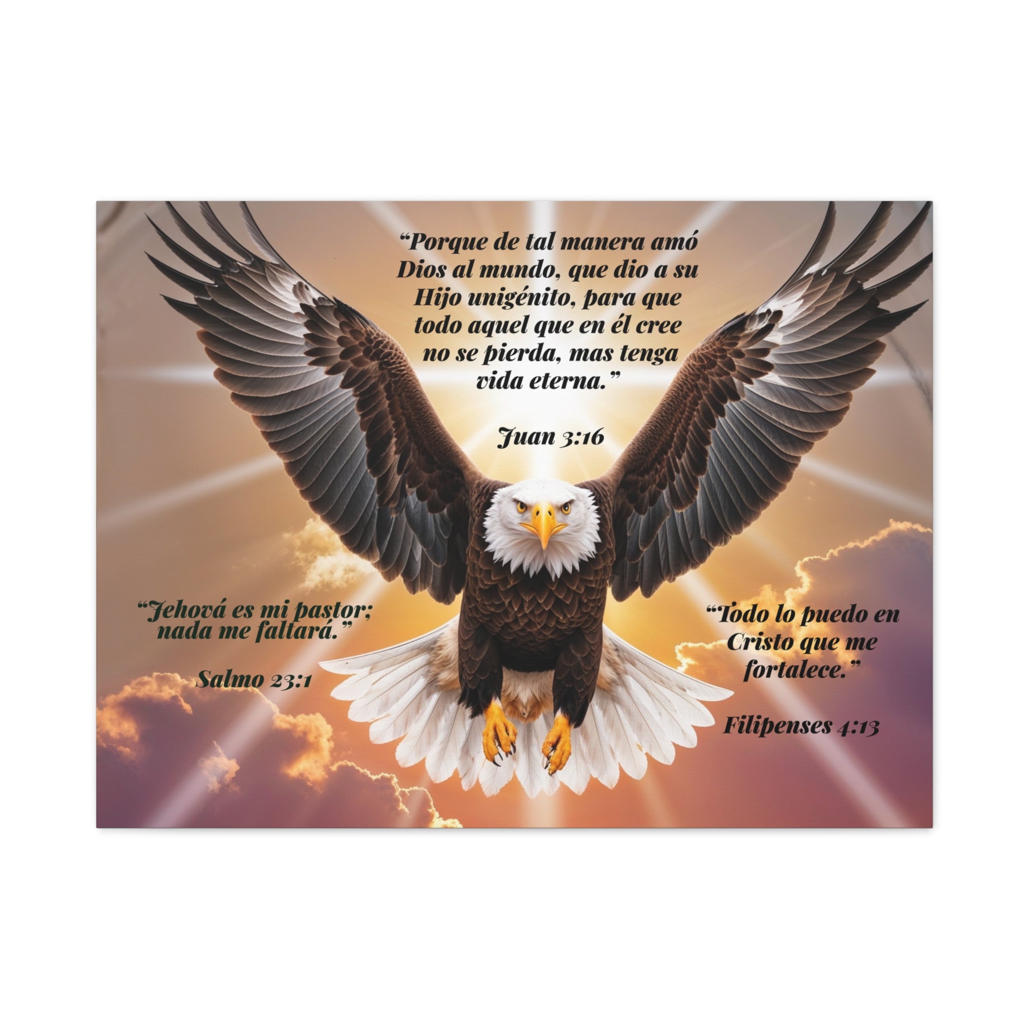 Bald Eagle with Spanish Bible Verses Canvas