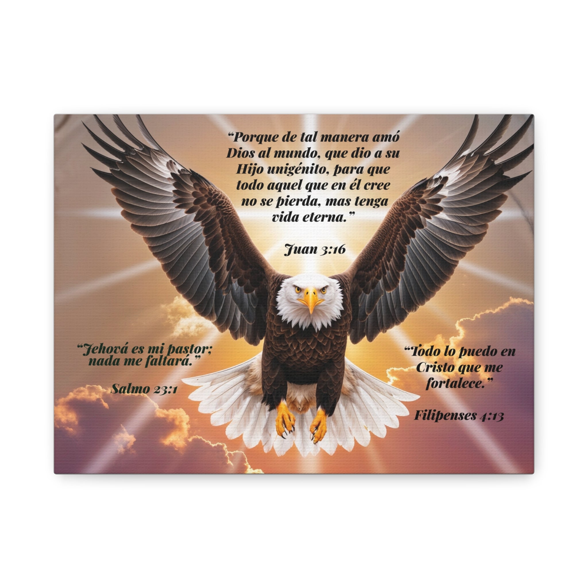 Bald Eagle with Spanish Bible Verses Canvas